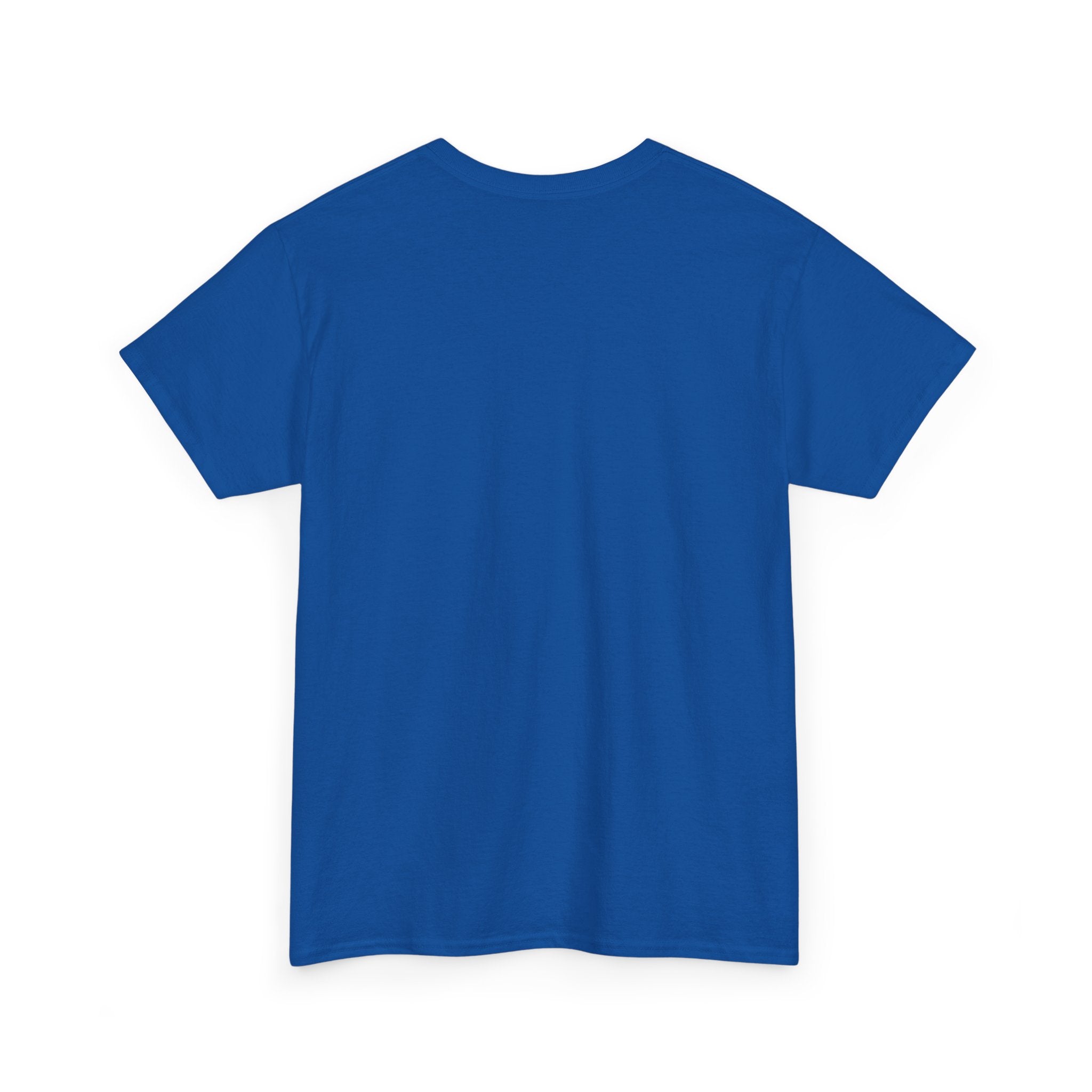 HELLO MY NAME IS SHED BOY TSHIRT