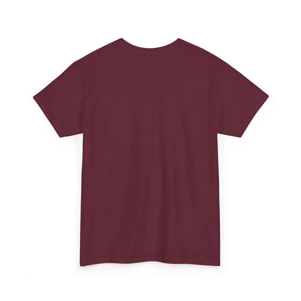 HELLO MY NAME IS SHED BOY TSHIRT